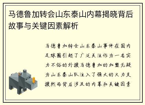 马德鲁加转会山东泰山内幕揭晓背后故事与关键因素解析