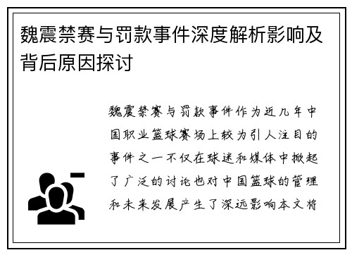 魏震禁赛与罚款事件深度解析影响及背后原因探讨
