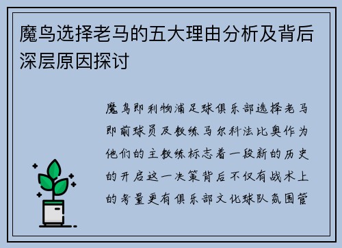 魔鸟选择老马的五大理由分析及背后深层原因探讨
